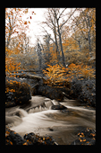 Kennal Vale, waterfall autumn colours